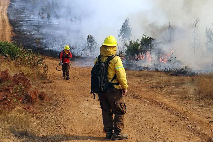 Incendios en La Araucanía: Alerta roja en 20 comunas y 16 detenidos por provocar siniestros