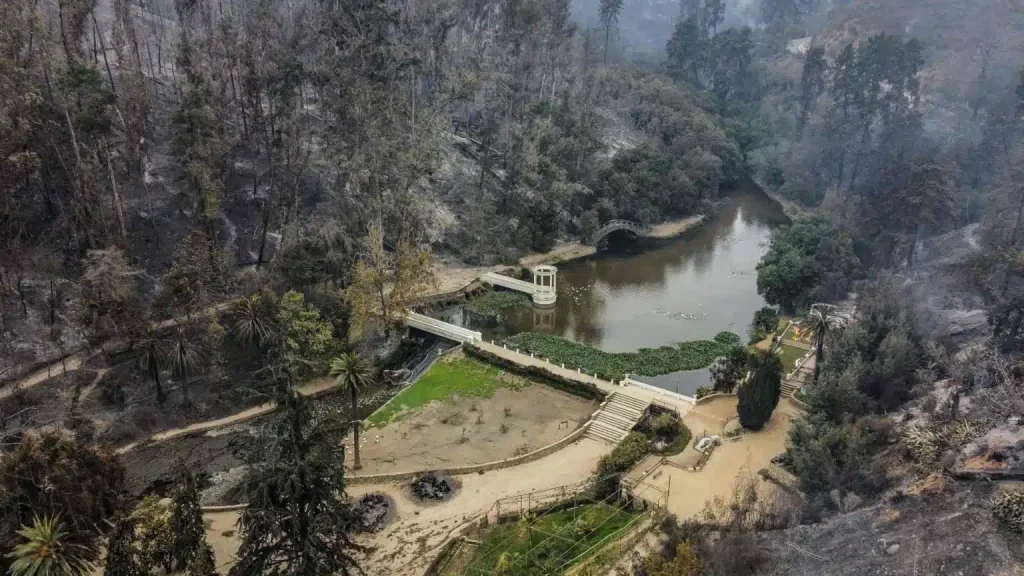 Tras los incendios en Viña del Mar, Jardín Botánico deja un vacío significativo en el pulmón verde de la ciudad.