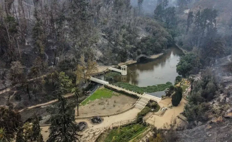 Tras los incendios en Viña del Mar, Jardín Botánico deja un vacío significativo en el pulmón verde de la ciudad.