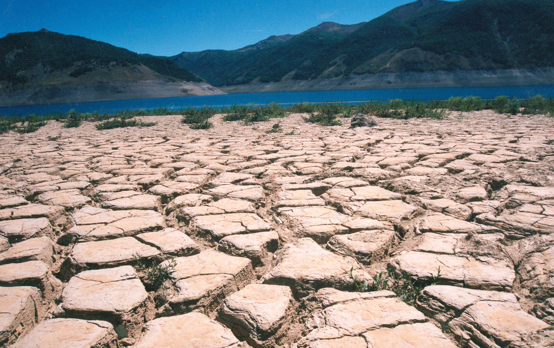 Chile lidera la crisis hídrica en Latinoamérica, con décadas de mala gobernanza y sobreproducción