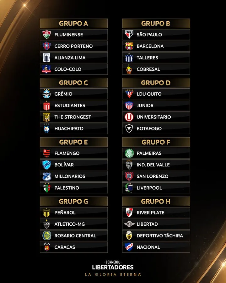 Copa Libertadores 2024: Huachipato, Cobresal, Colo Colo y Palestino conocen a sus rivales luego del sorteo