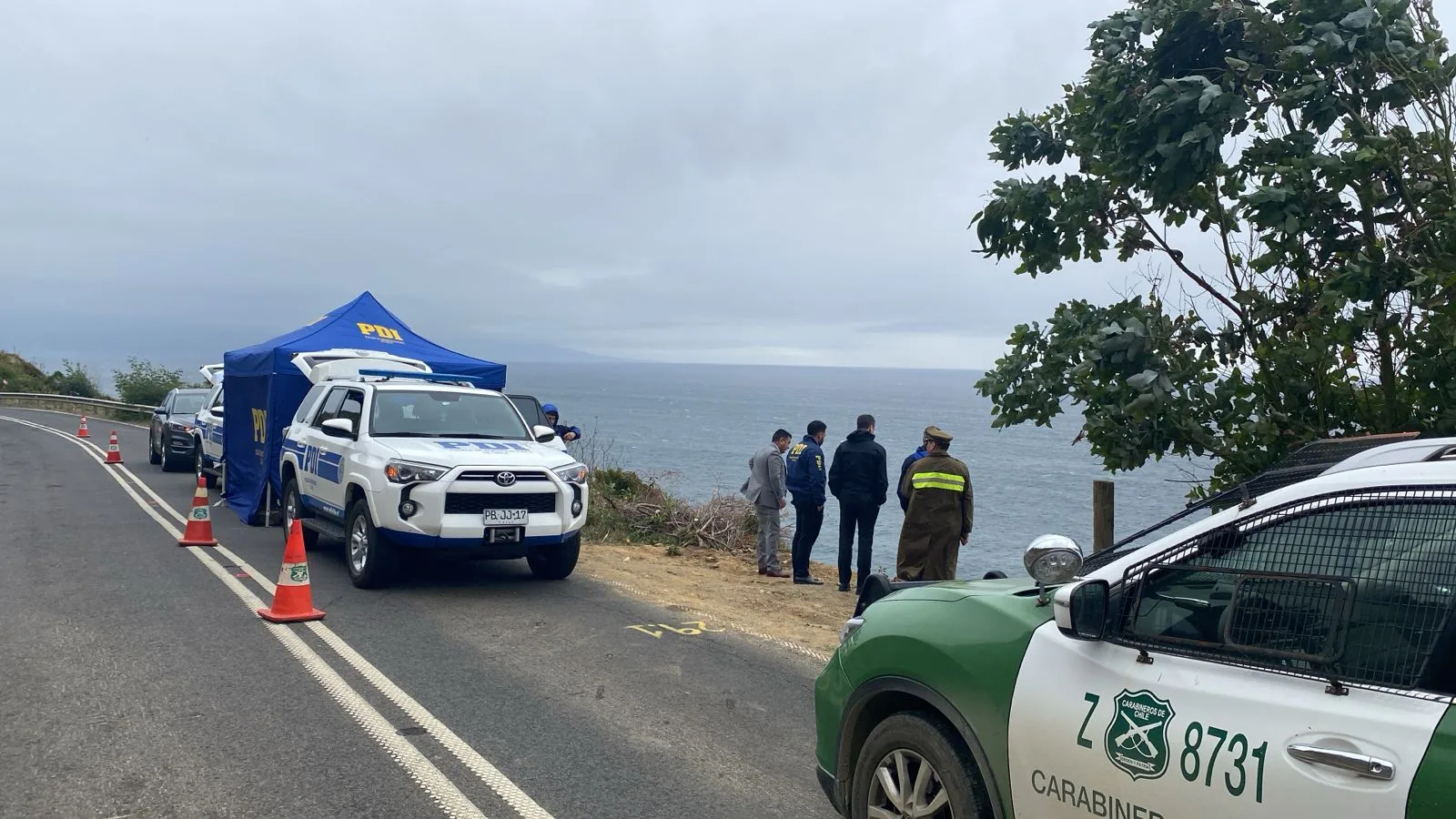 Detienen a sospechoso tras el asesinato de un joven luego de una cita, cuyo cuerpo fue encontrado en una quebrada de Valdivia