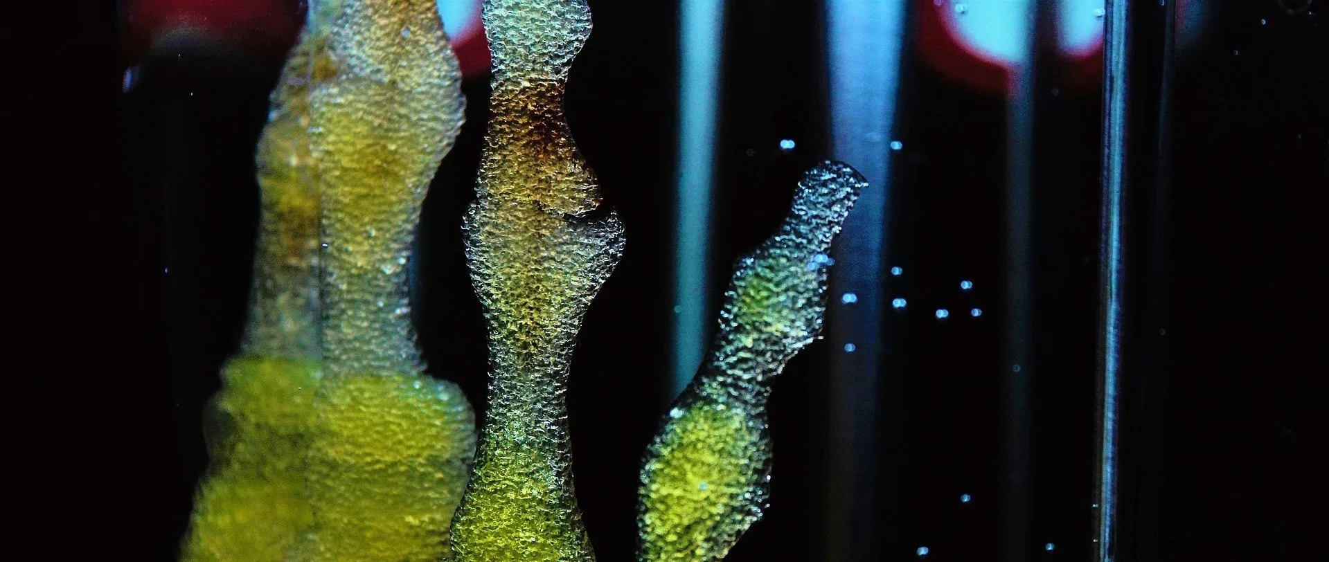 Tejidos Impresos en 3D de Células Madre: Una Promesa para la Reparación de Lesiones Cerebrales.