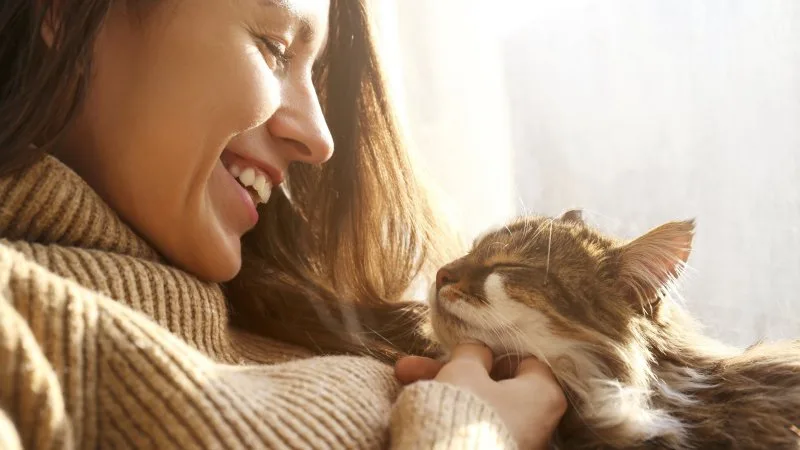 Terapia peluda: cómo los animales mejoran la Salud Mental de las personas