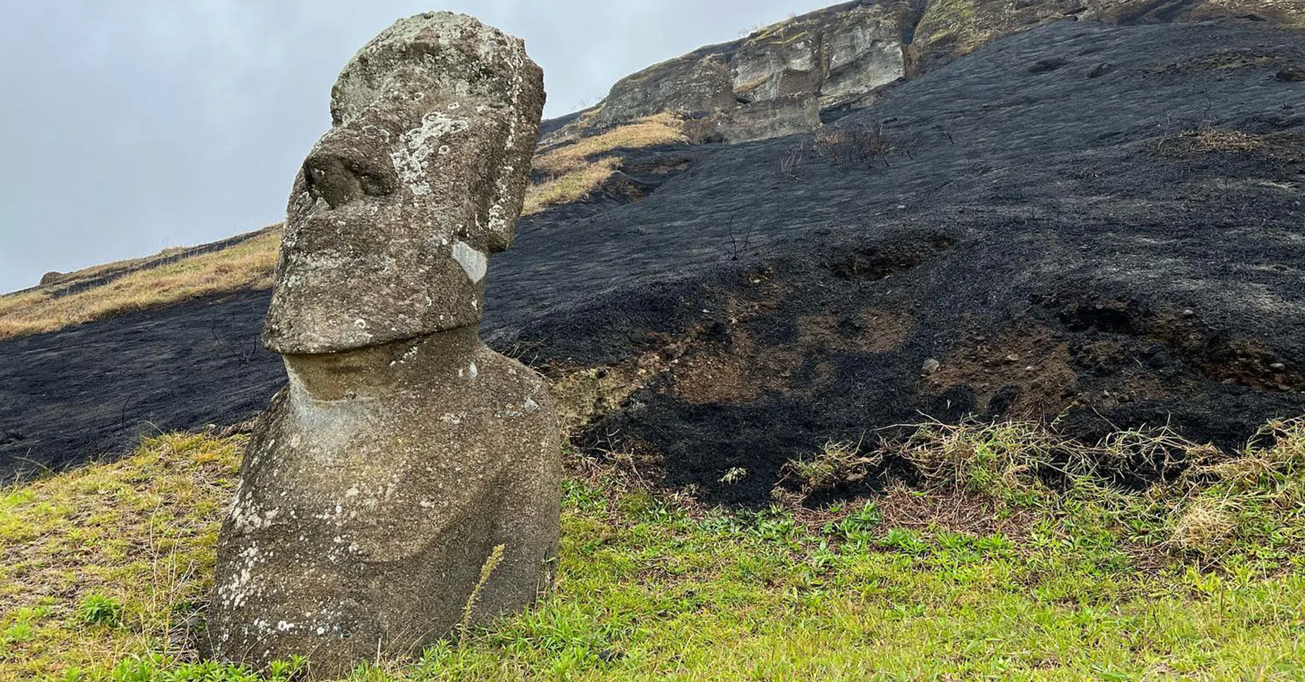 Los milenarios moáis de Rapa Nui, a la deriva
