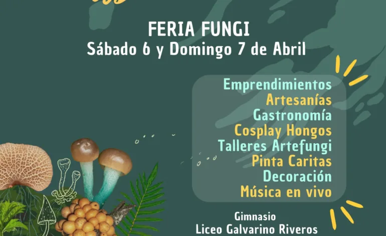 Primer Festival Isla de Hongos en Castro, Chiloé: Un Encuentro para Explorar el Mundo Fúngico