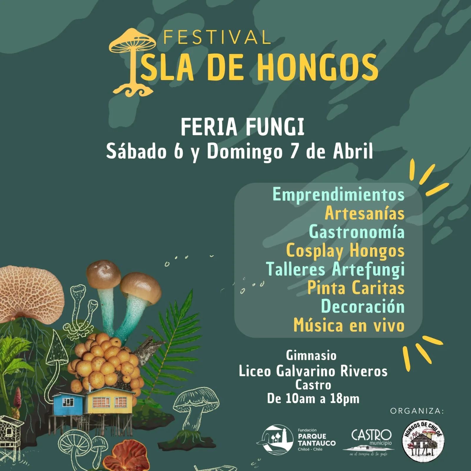 Primer Festival Isla de Hongos en Castro, Chiloé: Un Encuentro para Explorar el Mundo Fúngico