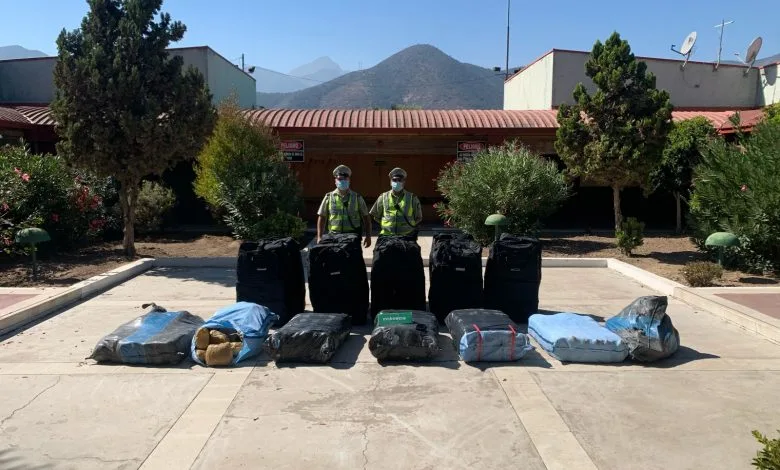 Importante Decomiso de Marihuana Prensada en Nogales: Colombiano Detenido