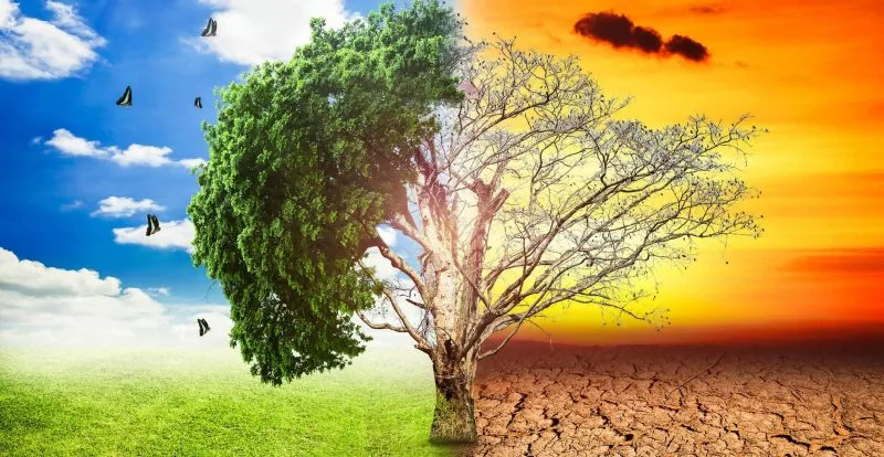 Expertos advierten que el calentamiento global se acelera a niveles alarmantes