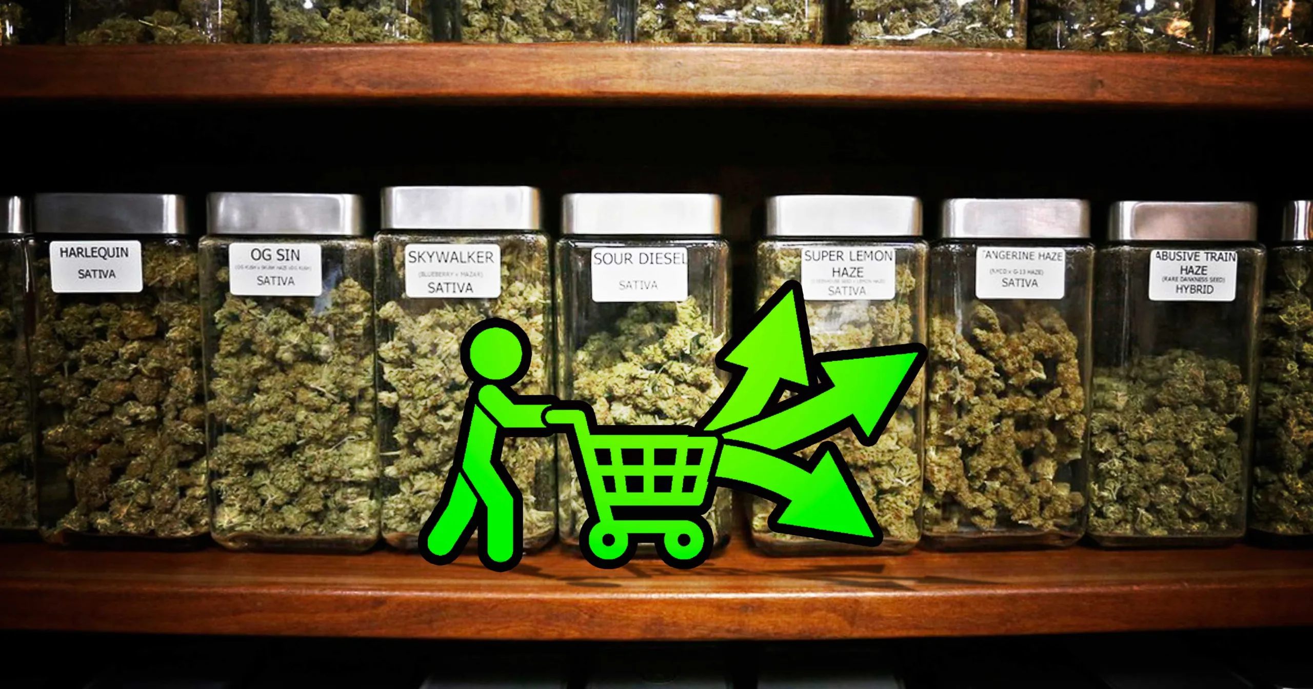 Cannabis terapéutico al alcance: los dispensarios de Chile abren las puertas a la esperanza