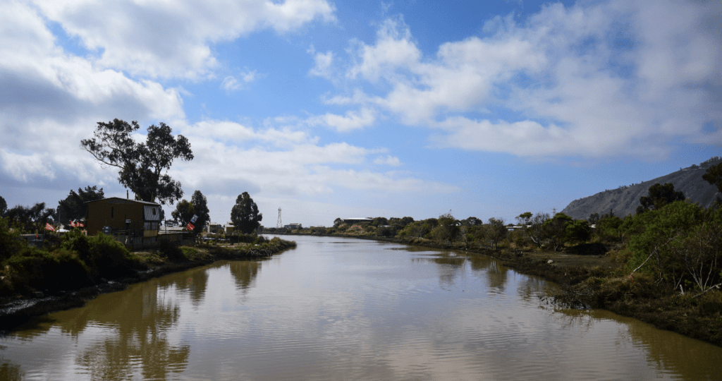 Preocupación por Altos Niveles de Contaminación en el Estero El Sauce de Valparaíso
