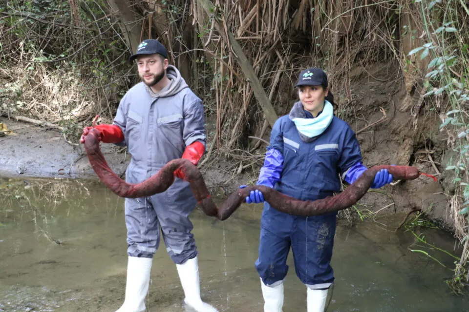 Recuperación de Laguna Verde: Remueven 15 kilos de contaminantes con cabello reciclado