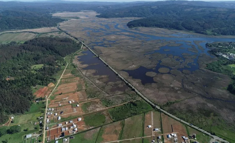 Humedales de Valdivia: Clave en la Mitigación de Inundaciones