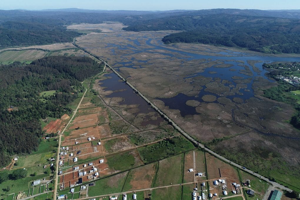 Humedales de Valdivia: Clave en la Mitigación de Inundaciones