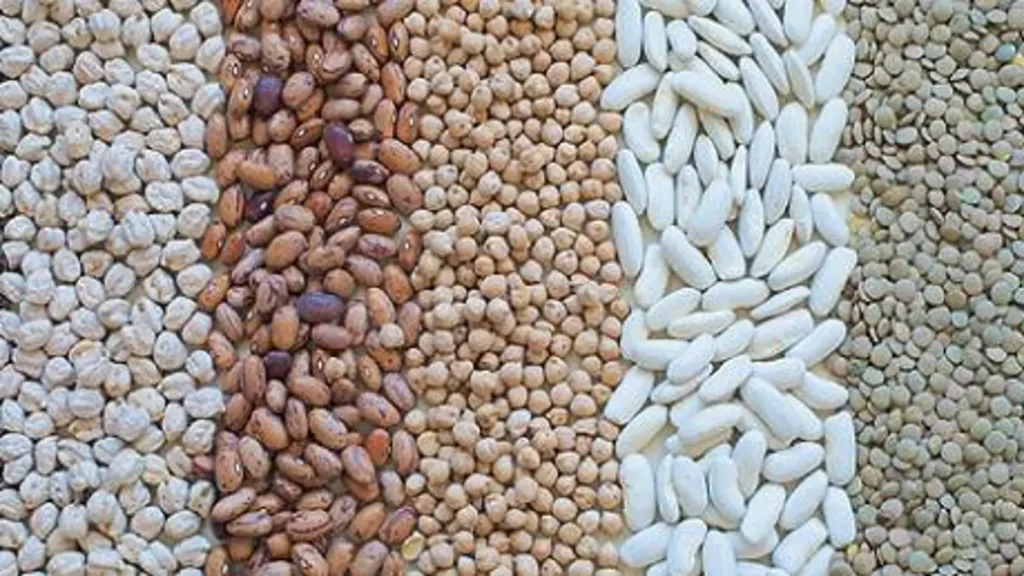 Las Legumbres: Pilares Nutricionales para una Alimentación Saludable