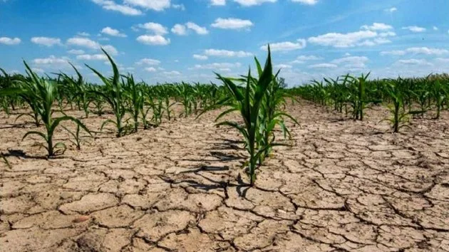 La Niña en Chile: Impacto y Regiones Afectadas