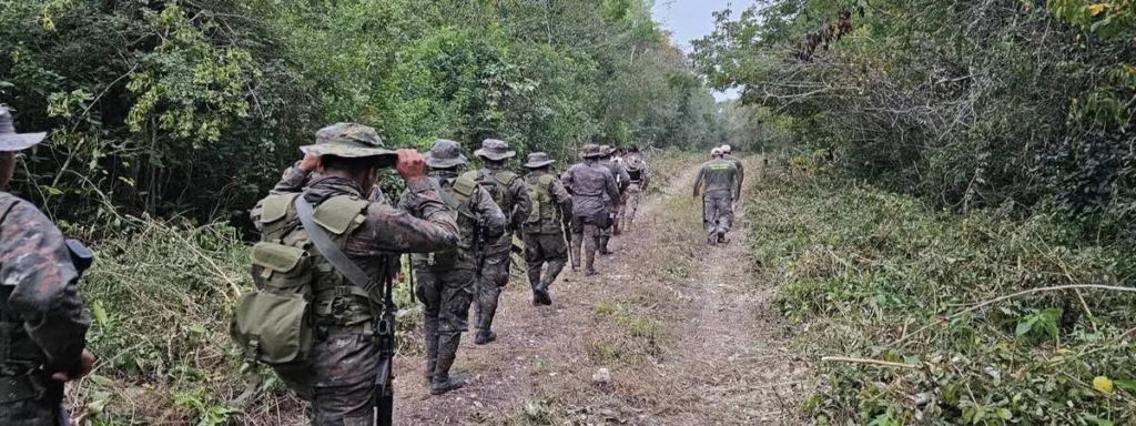 Presión del Crimen Organizado en la Selva Tropical de Guatemala