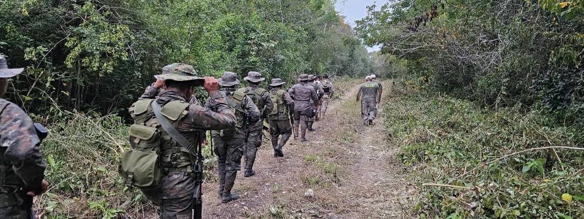 Presión del Crimen Organizado en la Selva Tropical de Guatemala