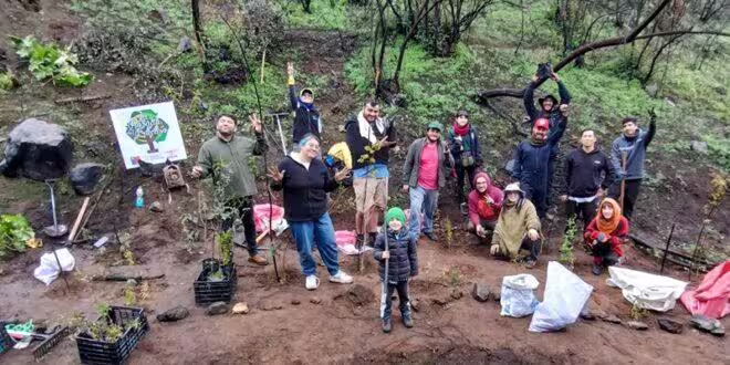 Vecinos de Viña del Mar se movilizan para reforestar zonas afectadas por incendios