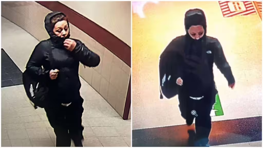 Mujer roba a recién nacida en Temuco y alega pérdida reciente de su propio hijo