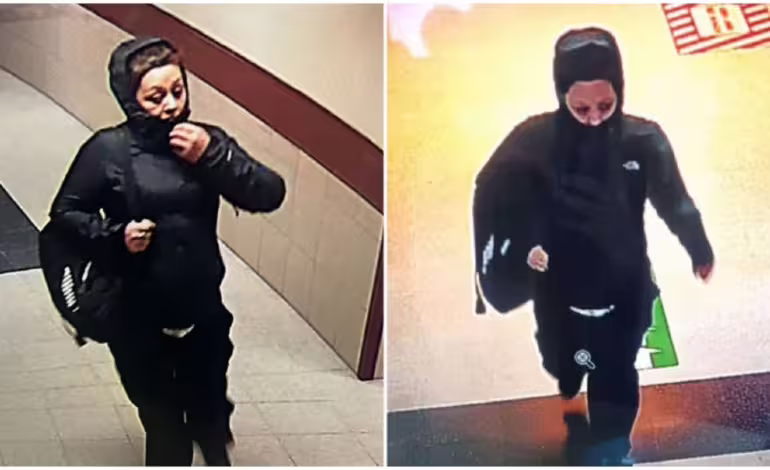 Mujer roba a recién nacida en Temuco y alega pérdida reciente de su propio hijo