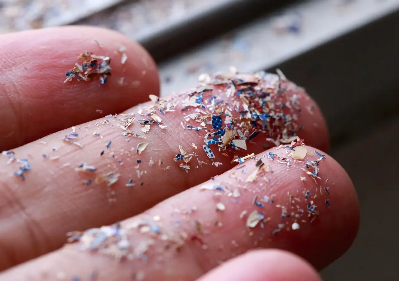 Microplásticos: Qué Son y Cómo Afectan al Cuerpo Humano