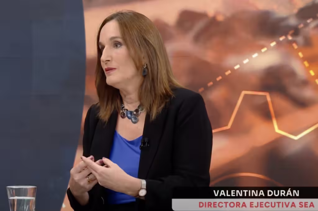 SEA solicita la renuncia del director regional de Antofagasta tras suspensión de proyecto energético de Colbún