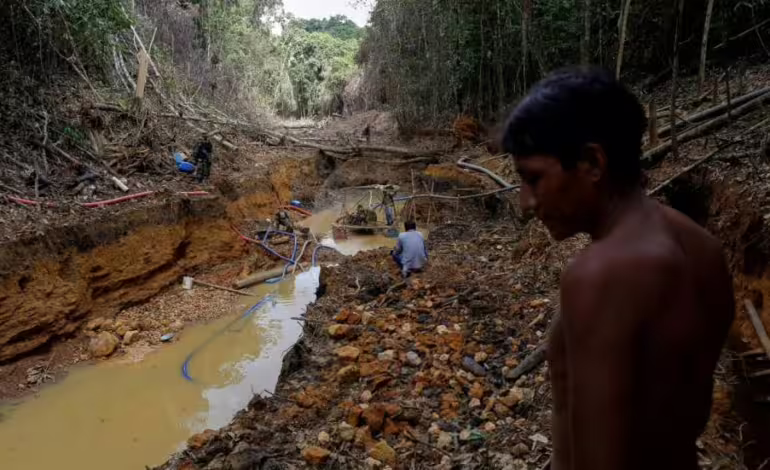 Al menos 196 activistas ambientales fueron asesinados en 2023, con Colombia como el país más afectado