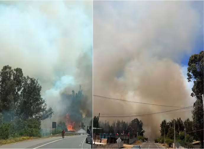 Declaran Alerta Roja en Quilpué por incendio forestal en sector La Retuca