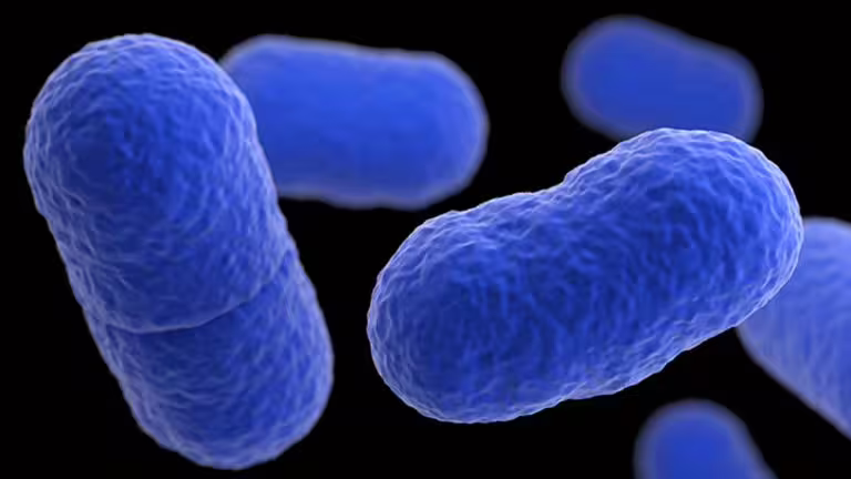 Listeria en Chile: Minsal Identifica Grupos de Riesgo y Alimentos a Evitar para Prevenir la Enfermedad