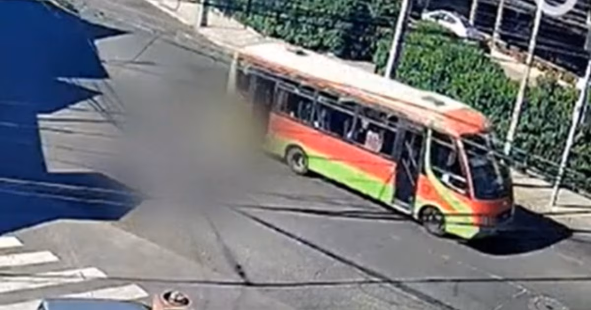 Valparaíso: Presentarán denuncia tras fallecimiento de estudiante que cayó de bus en movimiento