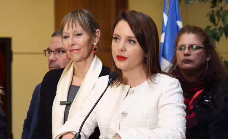 Diputadas critican salida del exsubsecretario Vergara, quien se enteró de su despido «por la prensa»