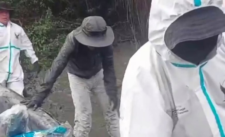 Identifican los cuerpos calcinados de cuatro menores desaparecidos en Guayaquil