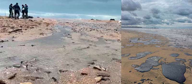 Derrame de petróleo en el Mar Negro afecta 50 kilómetros de playas en Rusia