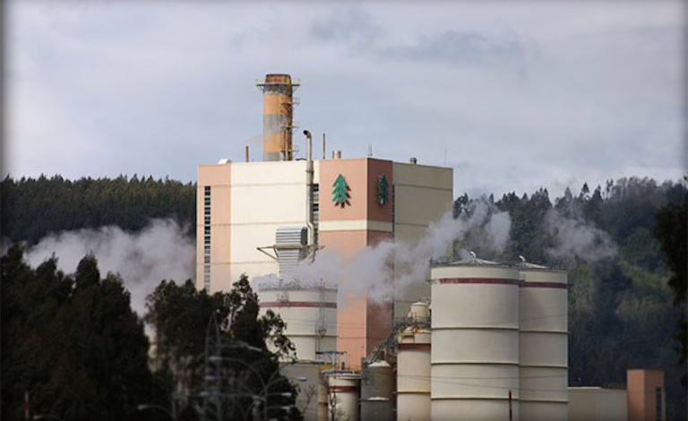 Trabajadores de Celulosa Arauco en Valdivia inician huelga indefinida por mejoras salariales
