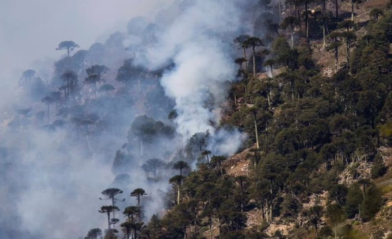 Conaf cerrará parques nacionales entre Coquimbo y La Araucanía por riesgo extremo de incendios