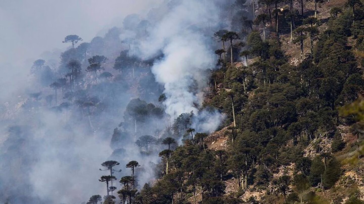 Conaf cerrará parques nacionales entre Coquimbo y La Araucanía por riesgo extremo de incendios