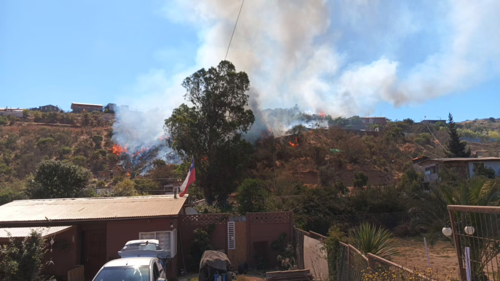 Villa Alemana en Alerta: Evacúan Sector Las Cabras por Incendio Forestal
