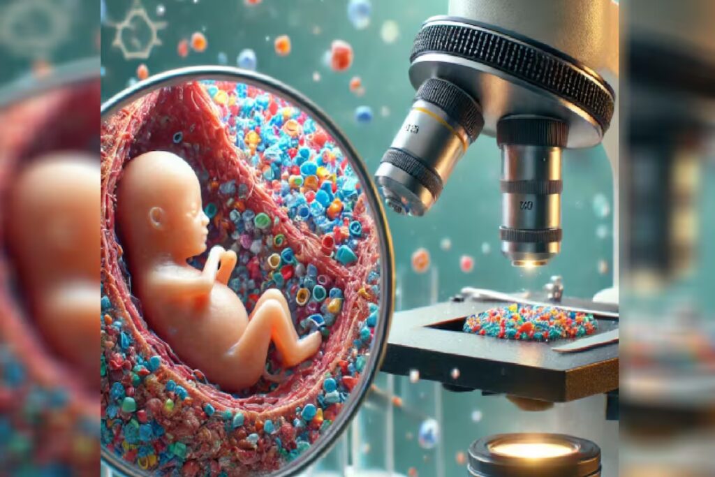 Estudio revela altas concentraciones de microplásticos en placentas de bebés prematuros