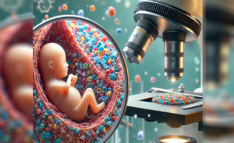 Estudio revela altas concentraciones de microplásticos en placentas de bebés prematuros