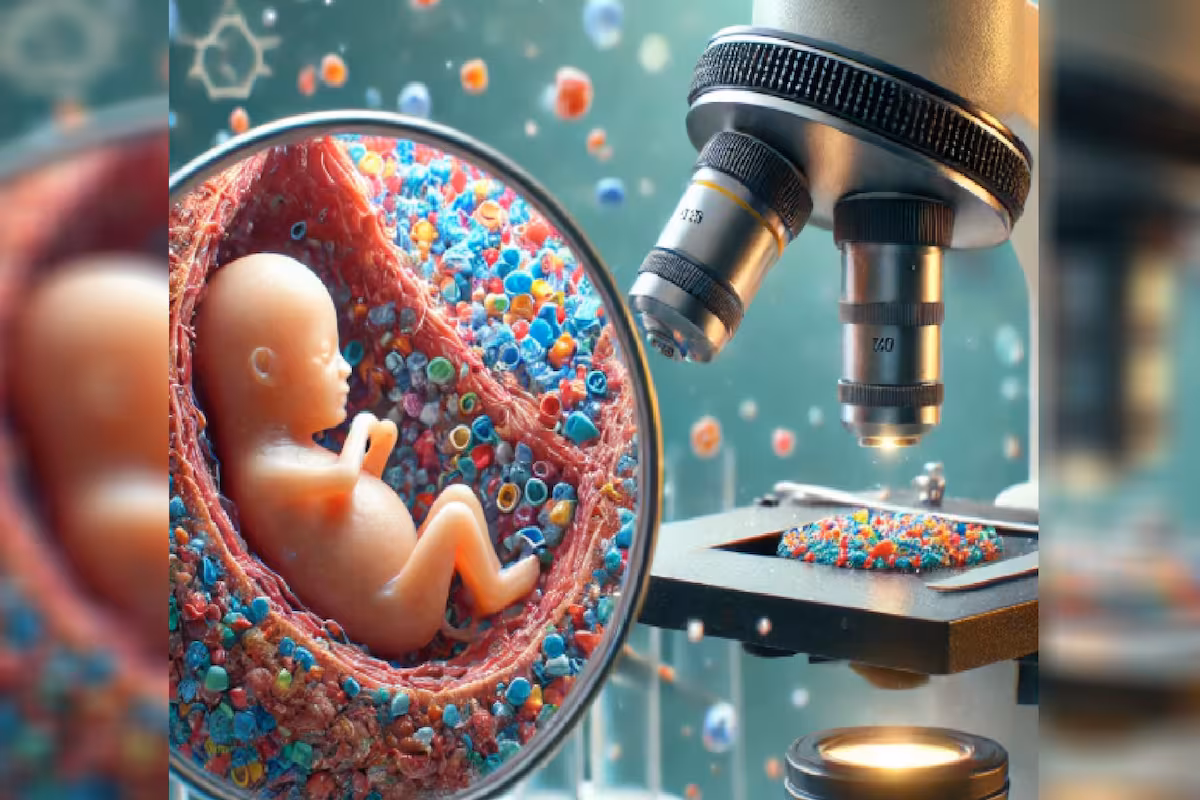 Estudio revela altas concentraciones de microplásticos en placentas de bebés prematuros
