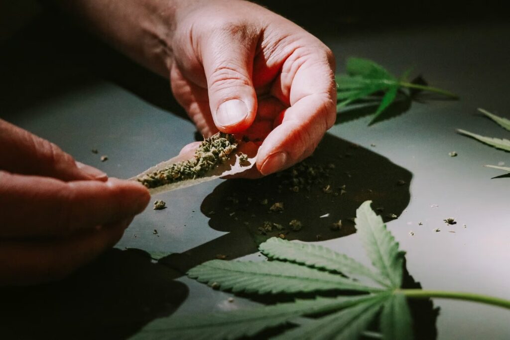 Estudio en Canadá alerta sobre el aumento de esquizofrenia en consumidores de cannabis