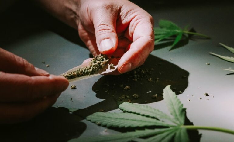 Estudio en Canadá alerta sobre el aumento de esquizofrenia en consumidores de cannabis