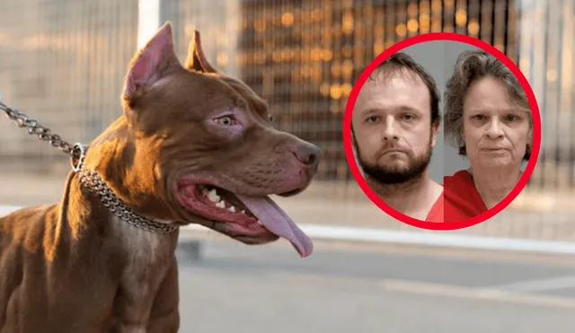 Mujer de 73 años muere tras brutal ataque de perros bajo efectos de cocaína en Ohio