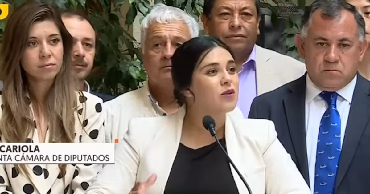 Pagos de arriendo vinculan a Cariola con empresario chino investigado