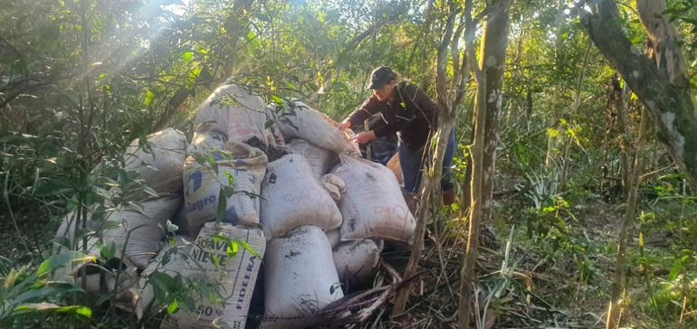 Narcotráfico en el agro: denuncian pago con droga a temporeros en zonas rurales