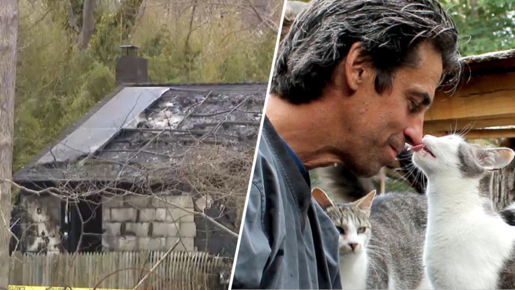 Héroe de los gatos: dueño de santuario muere en incendio al intentar salvarlos en EE.UU.