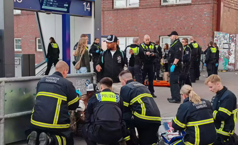 Terror en Hamburgo: mujer apuñala a 12 personas en estación de trenes