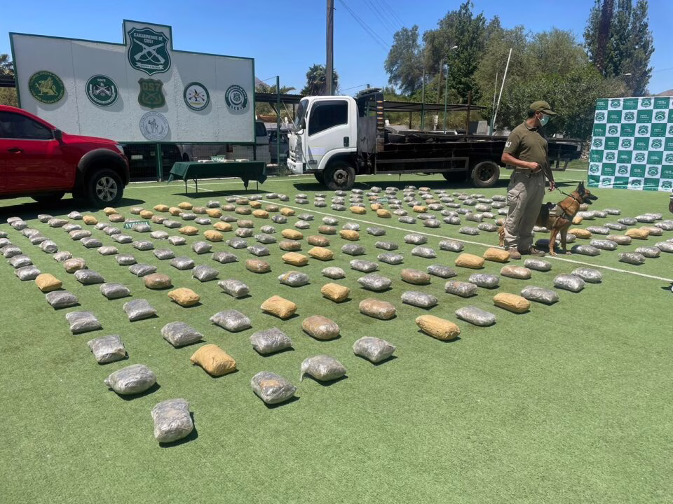Desmantelan banda extranjera que fingía ser familia para ingresar más de 400 kilos de marihuana a Santiago