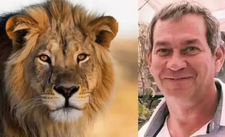 Empresario alemán muere tras ataque de leona durante safari de lujo en Namibia